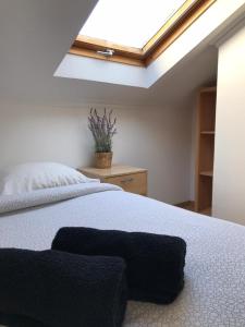 リスボンにあるBica Mini Hostelのベッドルーム1室(天窓付きの大型ベッド1台付)