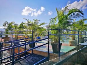 圣何塞Hotel Casa 69的阳台种有棕榈树,设有蓝色栏杆