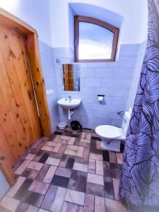 a bathroom with a toilet and a sink at Apartmány Moravský Grunt in Olomouc