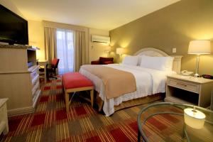um quarto de hotel com uma cama grande e uma televisão em Holiday Inn Monclova, an IHG Hotel em Monclova
