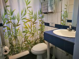 圣何塞Hotel Casa 69的带马桶和水槽的浴室 更多35张照片