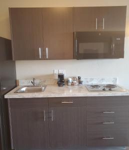 Simple Suites Boise Airport的厨房或小厨房