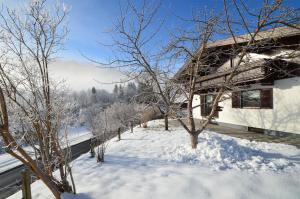 a snow covered yard next to a house w obiekcie Finest Ski Chalet Leogang by All in One Apartments w mieście Leogang