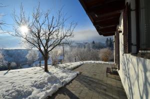 Finest Ski Chalet Leogang by All in One Apartments v zime