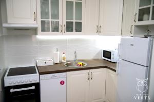 A kitchen or kitchenette at VESTA Apartman