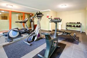 Fitness centrum a/nebo fitness zařízení v ubytování Holiday Inn Hotel & Suites Osoyoos by IHG