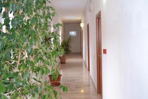 Fotografie z fotogalerie ubytování Hotel Citti v destinaci Arzachena