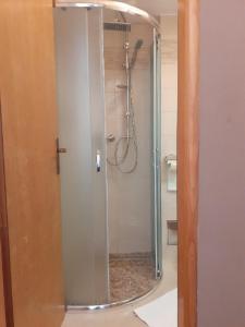 a shower with a glass door in a bathroom at VILLA VOLOSKO with private parking and breakfast,seaview in Volosko