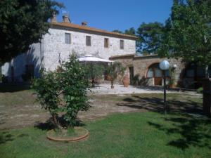 a house with a tree in front of it at La Canonica in San Giovanni dʼAsso