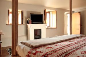 um quarto com uma lareira, uma televisão e uma cama em L'Alcôve d'Amédée V em Yvoire