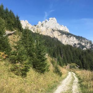Príroda v okolí horskej chaty