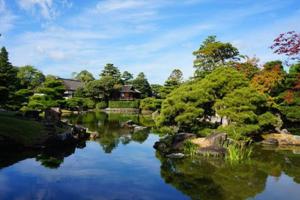 Příroda nedaleko prázdninového domu