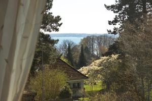 a house with a view of the water and trees at Haus OstseeLicht in Sierksdorf