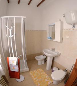 a bathroom with a shower and a toilet and a sink at Agriturismo Santa Giuditta in Sovicille