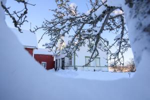 una casa con la neve sui rami di un albero di Strømnes - Oldefars gjestehus Inderøy a Straumen