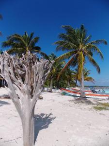 Fotografie z fotogalerie ubytování Casa Pascale v destinaci Punta Allen