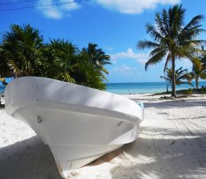 Fotografie z fotogalerie ubytování Casa Pascale v destinaci Punta Allen