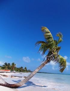 Fotografie z fotogalerie ubytování Casa Pascale v destinaci Punta Allen
