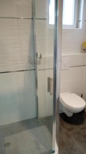 a bathroom with a toilet and a glass shower at les tilleuls in Léon