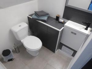 ein Badezimmer mit einem weißen WC und einem Waschbecken in der Unterkunft Chambre triple spacieuse pour 3 Adultes avec terrasse privée - Proche Disneyland Paris in Mareuil-lès-Meaux