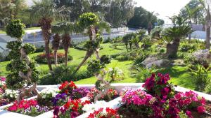a garden filled with lots of flowers on a sunny day at Akti Imperial Deluxe Resort & Spa Dolce by Wyndham in Ixia