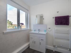 a bathroom with a sink, toilet and window at Teifi Netpool in Cardigan