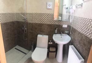 a bathroom with a toilet and a sink and a shower at Cozy Place in Kazbegi in Stepantsminda