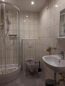 a bathroom with a shower and a toilet and a sink at Pension Alpengruss in Heiterwang