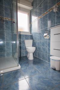 a blue tiled bathroom with a toilet and a shower at Do mi si la do re in Dorénaz