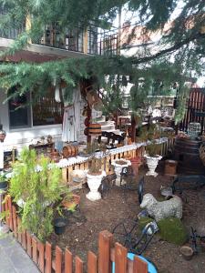 Ein Garten an der Unterkunft Durmitor