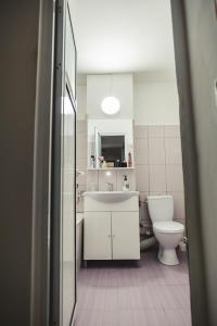 a bathroom with a sink and a toilet at Mama Teasa-Apartment in Curtea de Argeş