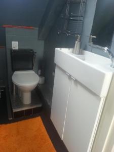 a bathroom with a white sink and a toilet at Etage voor 1-3 pers in Nijmegen-centrum in Nijmegen