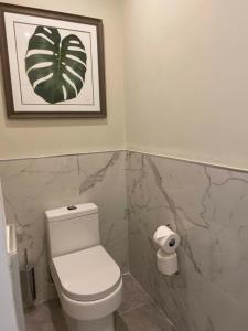 a bathroom with a toilet and a picture on the wall at Fairmont Royal Pavilion Barbados Resort in Saint James