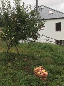 Gallery image of Chalupa U Kačírků in Horní Planá