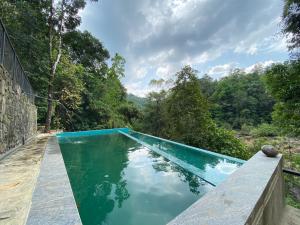 a swimming pool in the middle of a forest at Forest Shade Eco Resort Deraniyagala in Deraniyagala