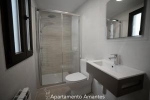 a bathroom with a shower and a toilet and a sink at Apartamentos Plaza del Torico Teruel in Teruel