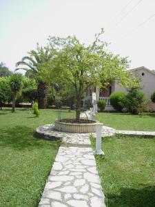 een tuin met een boom en een stenen loopbrug bij Nikos Apartments in Acharavi