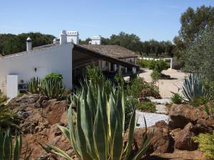 a house with a cactus in front of it at Quinta Do Cano in Évora