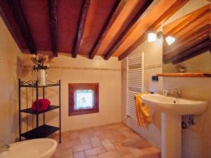 a bathroom with a sink and a toilet at Holiday Home Capanna di Sopra by Interhome in Villa Bertolli