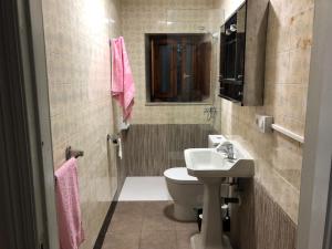 un bagno con lavandino, WC e specchio di El Requexu de Rales a Rales Altre 19 foto