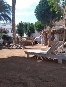 a white bench sitting in a park with palm trees at Sunrise Dahab lodge in Dahab +7 photos