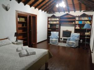 1 dormitorio con 1 cama, 2 sillas y chimenea en Galguen Paradise in the island of stars. Villa. en Breña Alta