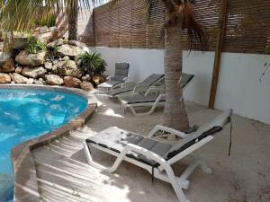 Bazén v ubytování A1 APARTMENT budget at JAN THIEL Curacao nebo v jeho okolí