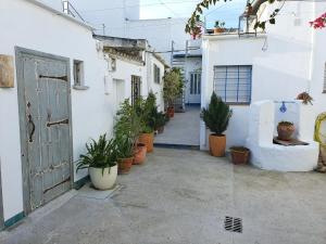 an alley with potted plants and an open door at La Chanca in Conil de la Frontera