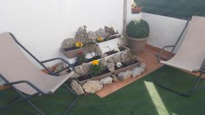 a room with two chairs and some plants and flowers at Emidio House in Termini