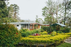 Zahrada ubytování Hotel Holístico Monteverde