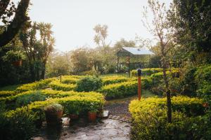 Zahrada ubytování Hotel Holístico Monteverde