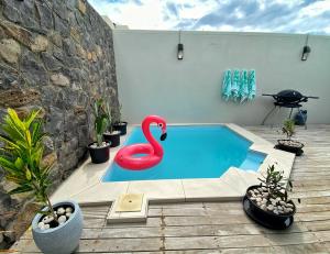 Kolam renang di atau dekat dengan Under The Tropics