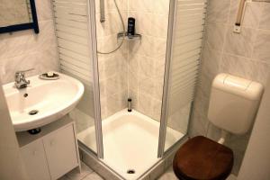 W łazience znajduje się prysznic, toaleta i umywalka. w obiekcie Gemütliches großzügiges Apartment w mieście Höhr-Grenzhausen
