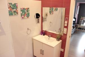 a bathroom with a sink and a mirror at Apartamentos Nundinae in Mérida